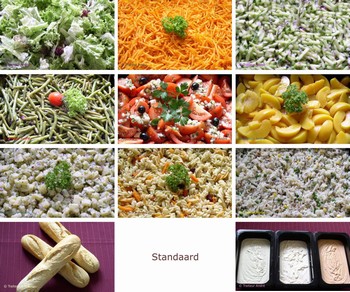 Saladebar Standaard  > incl. dressings en brood     >  ca 520 gr