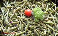Salade van groene boontjes  (vers)    >  55 gr
