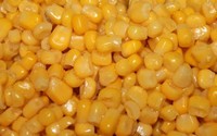 Maïs korrels    >  15 gr